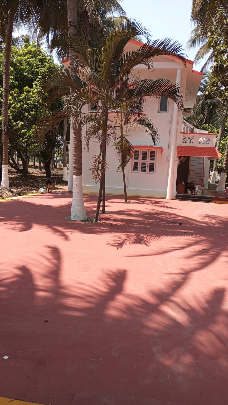Farmhouse Among the Palms